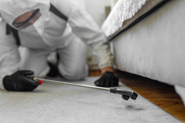 Professional Emergency Pest Control technician working in Lincoln City, OR