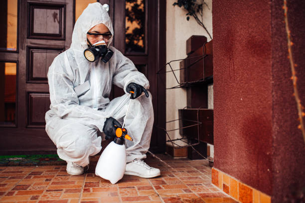 Reliable Emergency Pest Control contractor in Lincoln City, OR by Nex Pest Control