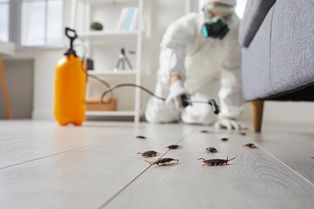 Trusted Fumigation Services service in Lincoln City, OR - Nex Pest Control