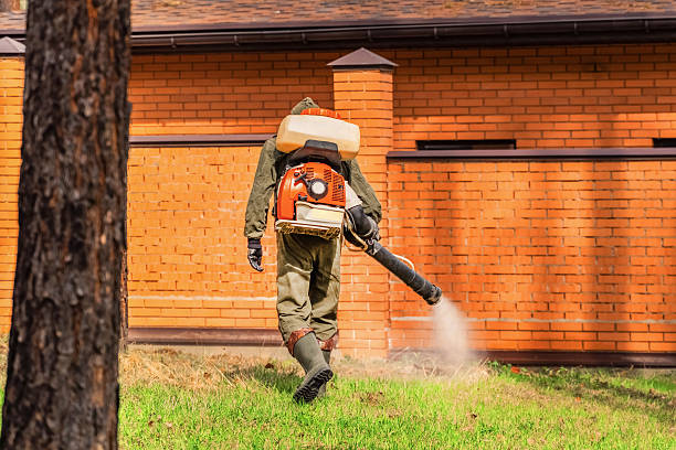 Trusted Bed Bug Control service in Lincoln City, OR - Nex Pest Control
